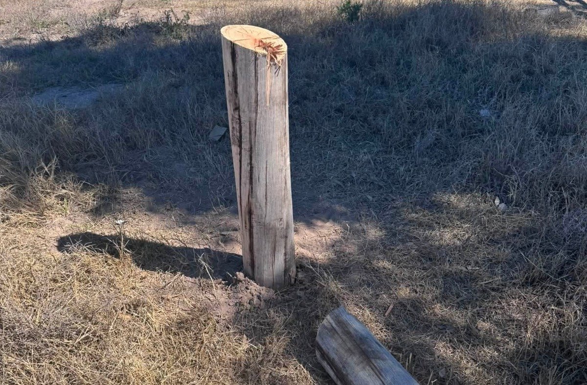 INCREÍBLE: USARON UNA MOTOSIERRA PARA TIRAR ABAJO UN POSTE Y ROBARSE UNA LUZ LED EN JAIME PRATS